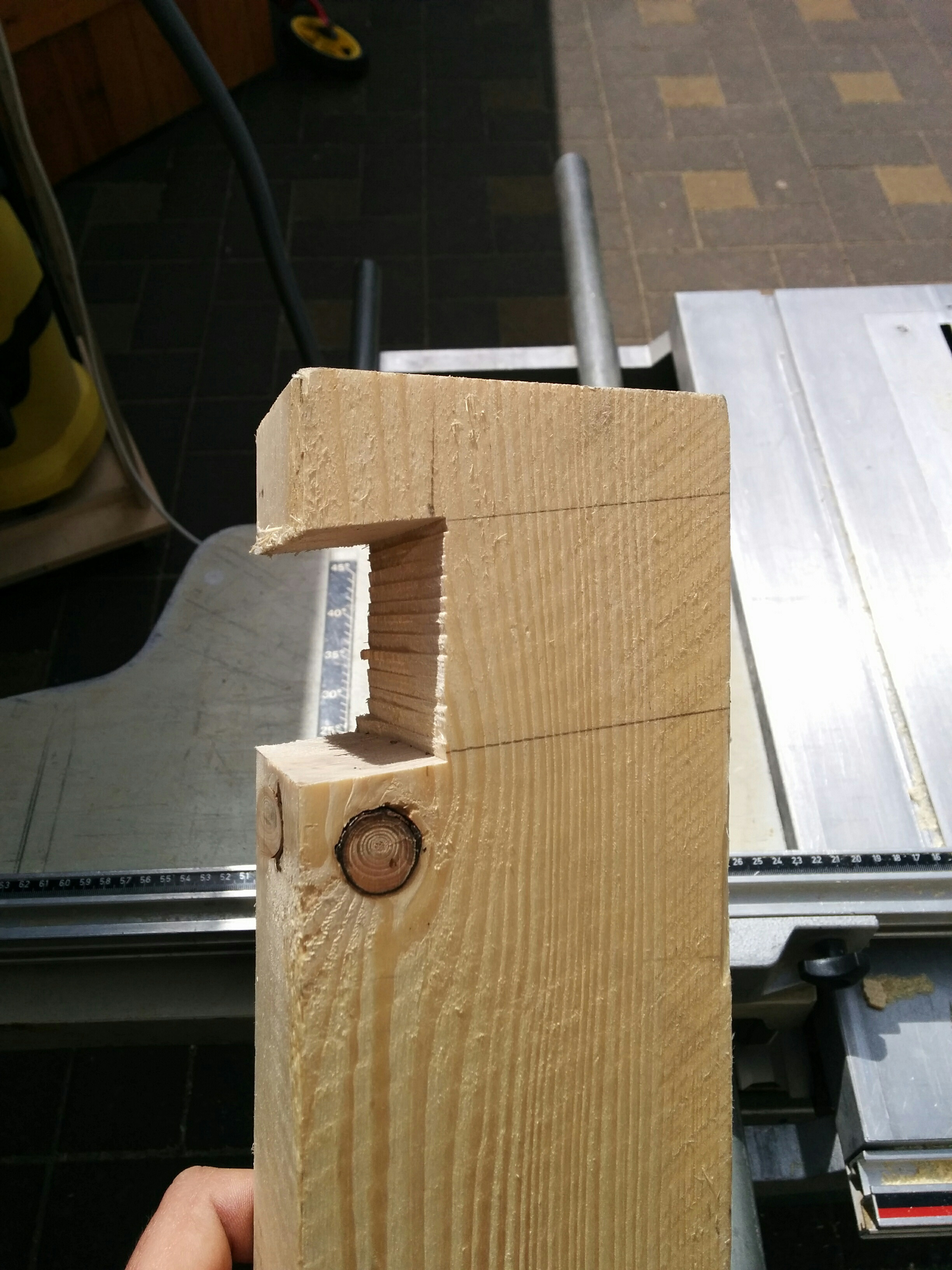 20160511 Gartenzaun 011